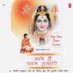 Aaye Hain Dhaam Tumhare - Debashish Dasgupta Song Download